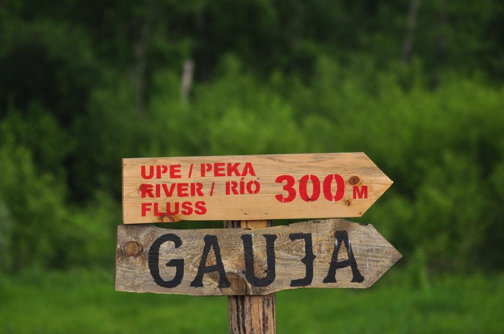 Leiputrija 3*